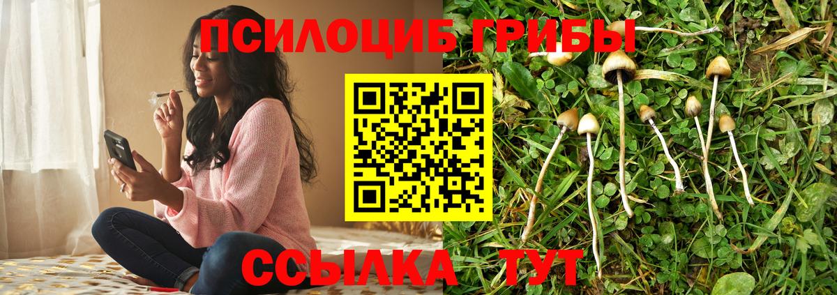 Галлюциногенные грибы ЛСД  Вход с VPN  Галлюциногенные грибы ЛСД  закладки  Рассказово 