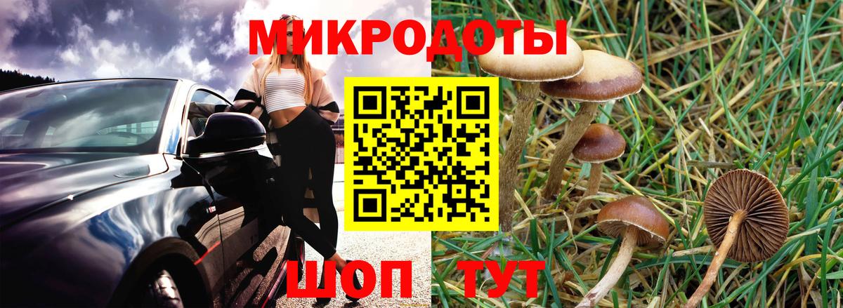 Псилоцибиновые грибы Cubensis Рассказово